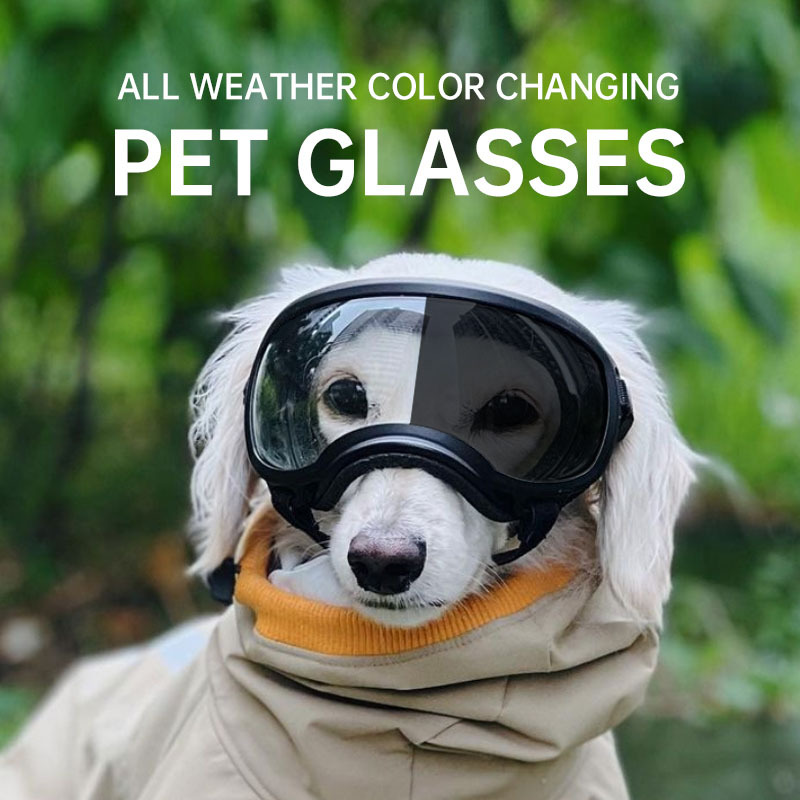 Snow Goggle Uv - نظارات الحيوانات الأليفة متغيرة الألوان لعام