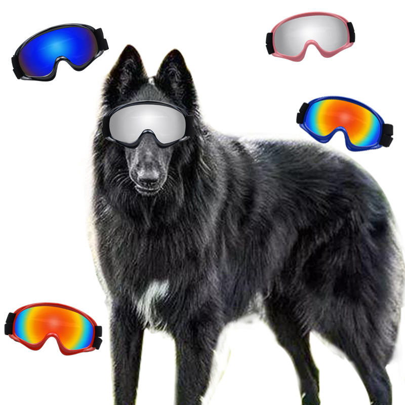 منتجات الحيوانات الأليفة: نظار - مراجعة Snow Goggle Uv وسعره