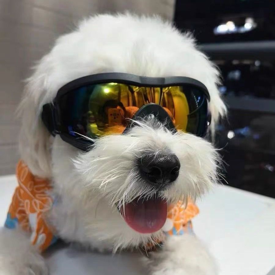 نظارات شمسية قابلة للتعديل للك - مراجعة Snow Goggle Uv وسعره