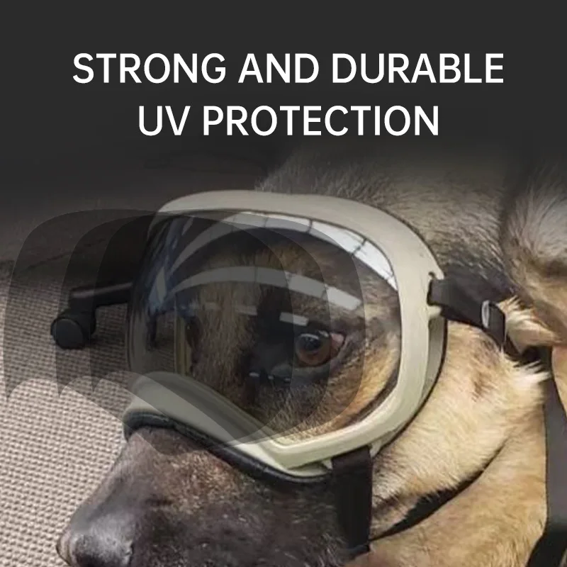 نظارات الحيوانات الأليفة متغير - مراجعة Snow Goggle Uv وسعره