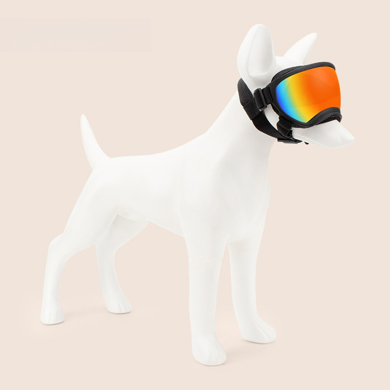 نظارات واقية للكلاب للاستخدام  - مراجعة Snow Goggle Uv وسعره