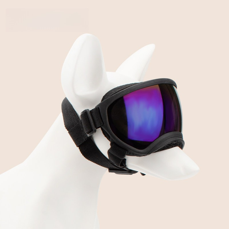 نظارات واقية للكلاب للاستخدام  - مراجعة Snow Goggle Uv وسعره