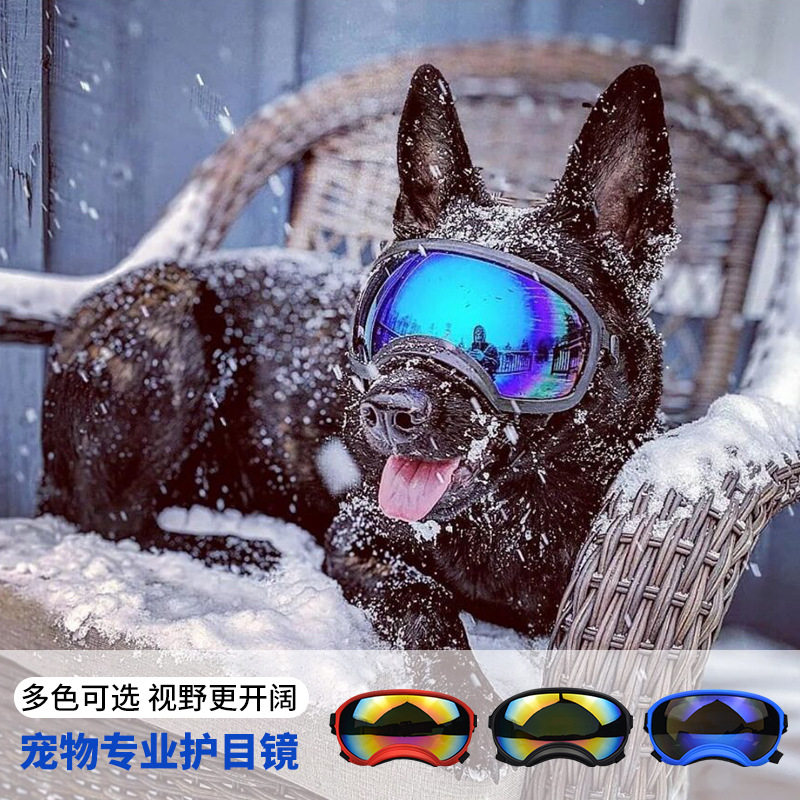 نظارات واقية للكلاب للاستخدام  - مراجعة Snow Goggle Uv وسعره
