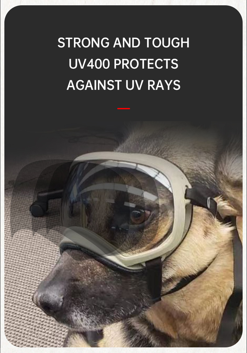 نظارات الحيوانات الأليفة المتغ - مراجعة Snow Goggle Uv وسعره