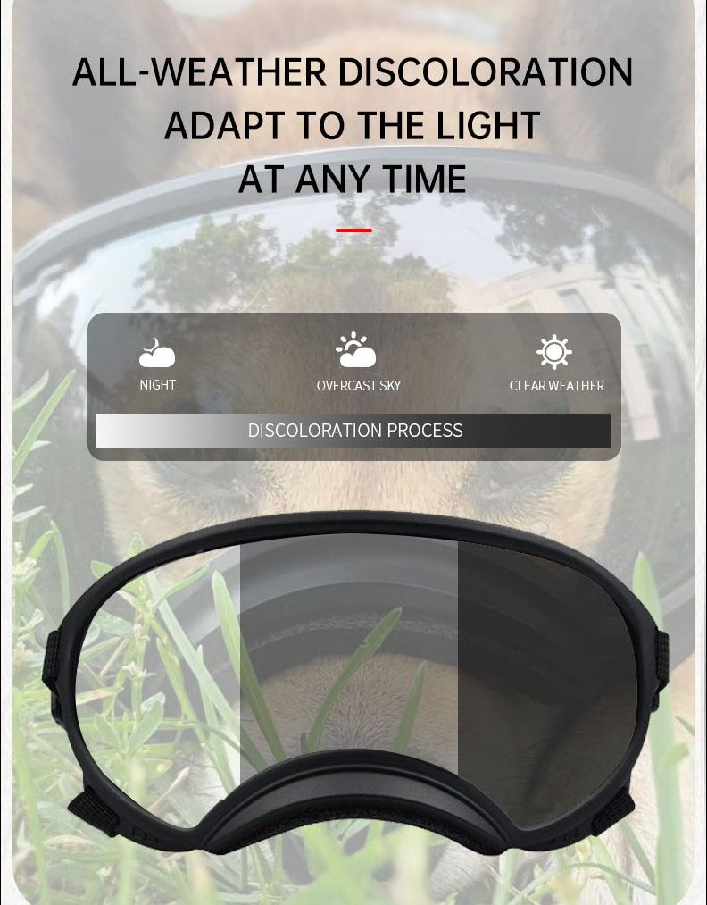 نظارات الحيوانات الأليفة المتغ - مراجعة Snow Goggle Uv وسعره